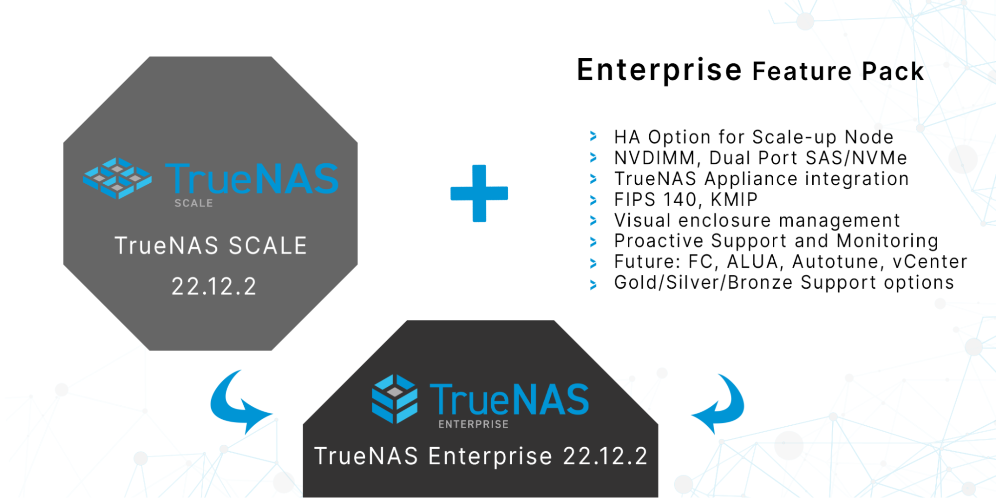 TrueNAS Enterprise feature pack